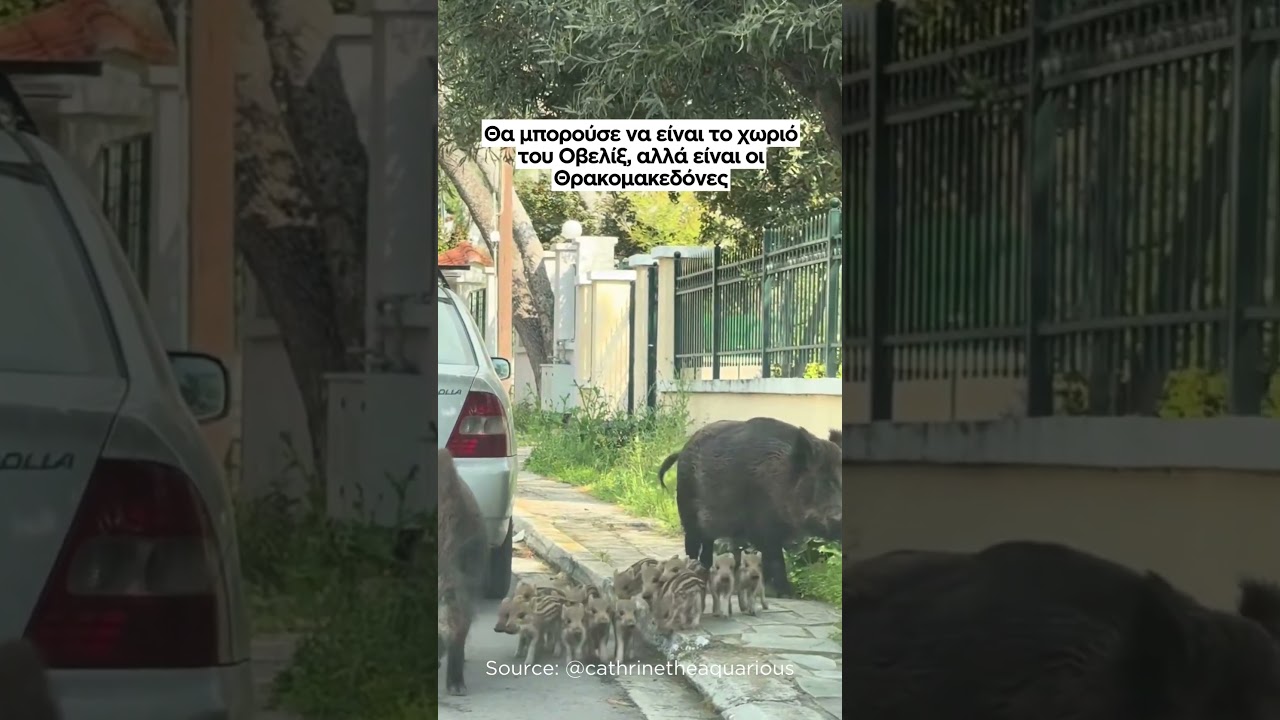 Κι όμως! Θα μπορούσε να είναι το χωριό του Οβελίξ, αλλά είναι οι Θρακομακεδόνες