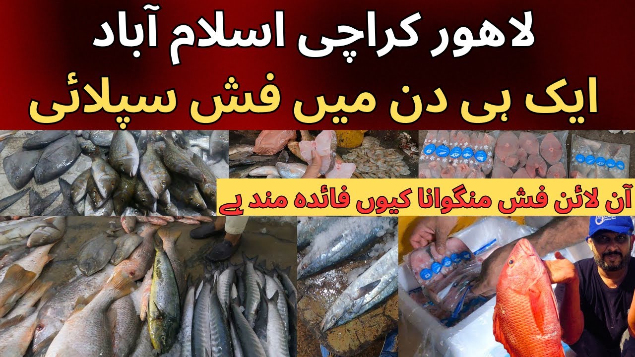 We Deliver Fresh Fish in karachi lahore & Islamabad from Karachi Fishery | Karachi Fish Harbour 2024