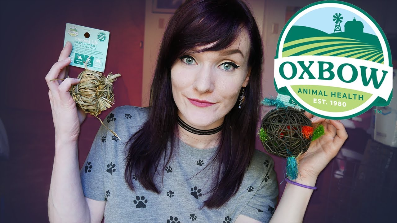 Oxbow Chew Toys! | Small Animal Supply Haul | Munchie's Place