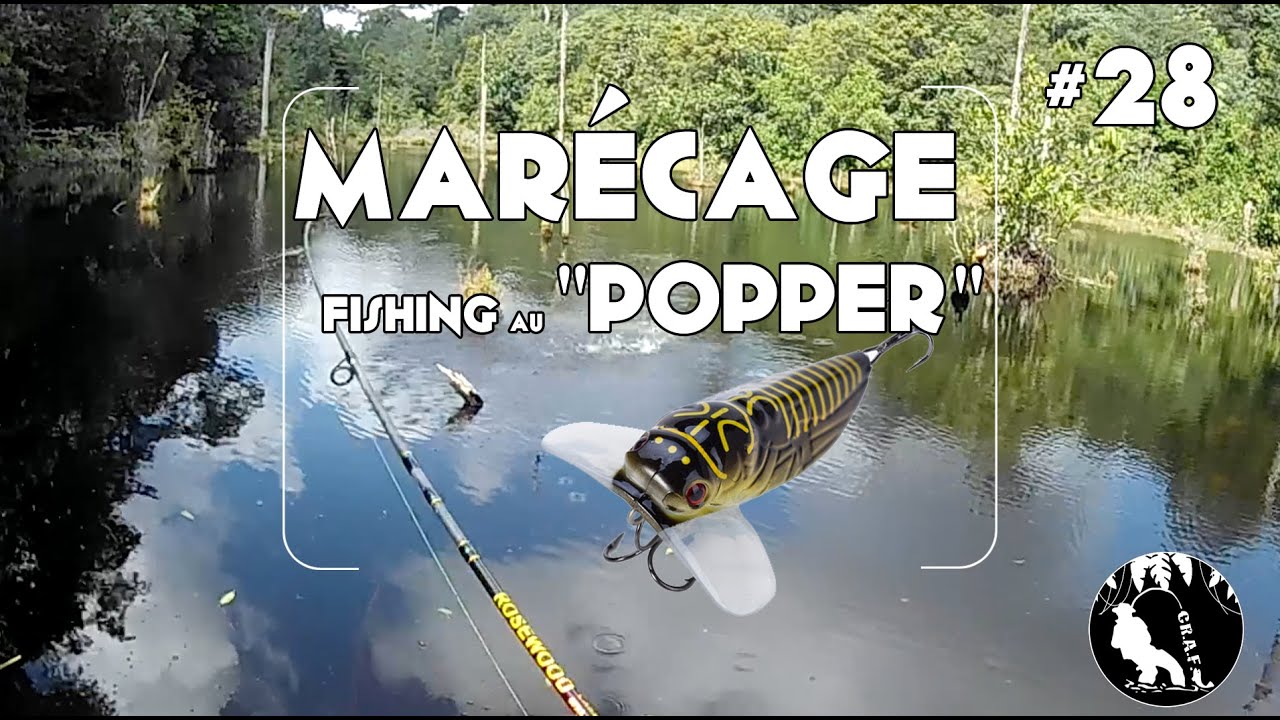 #28 Marécage fishing, carnassier de Guyane