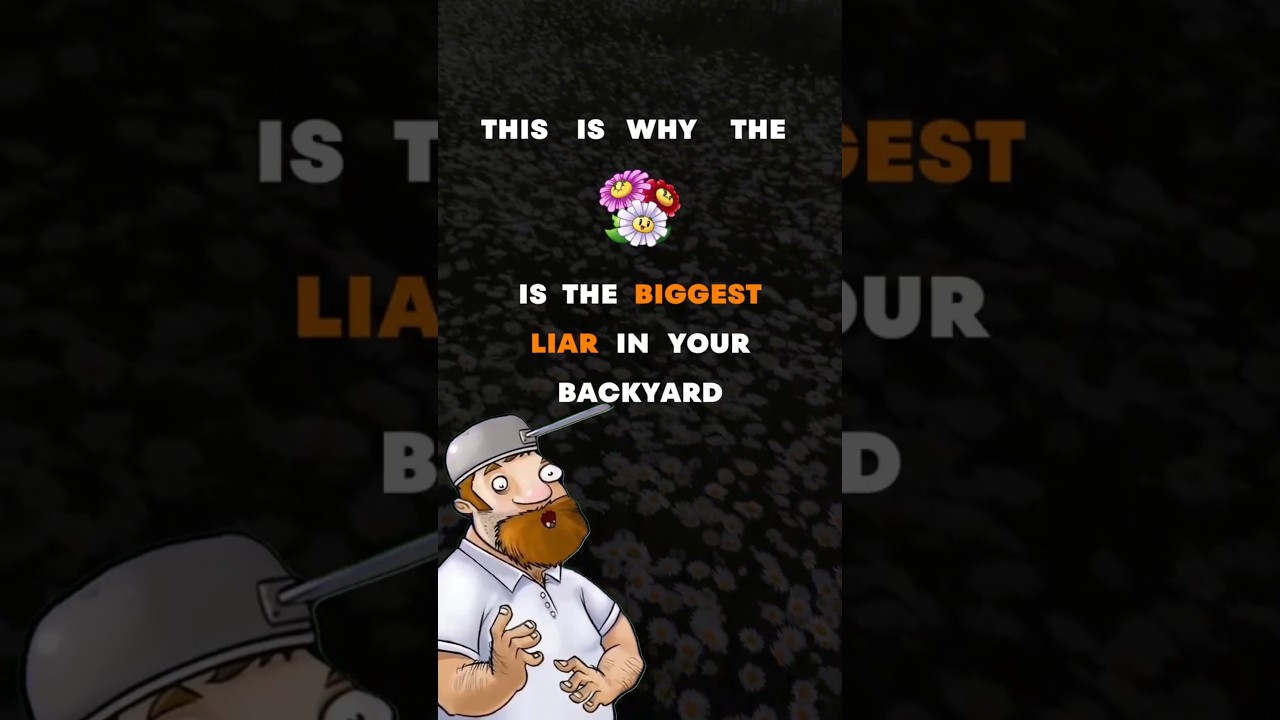 Your Daisy Is An Entire City 🏙️