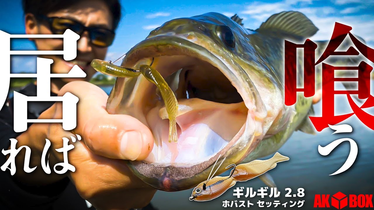 【簡単】落として揺らすだけ：ギルギル2.8 “ホバスト セッティング”【AK◆BOX】