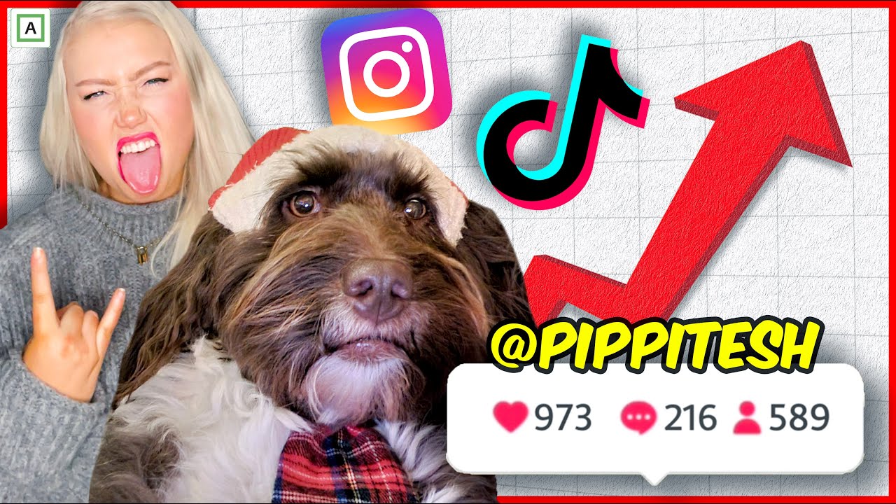 Pippi TAR OVER internett!