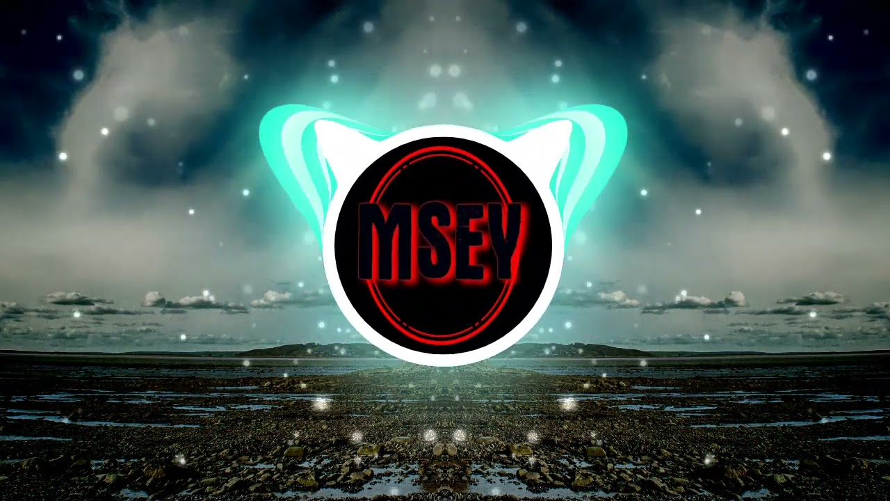 MSEY - SAUFEN, PARTY, PALMEN & MEER (prod. by FLX MSC)