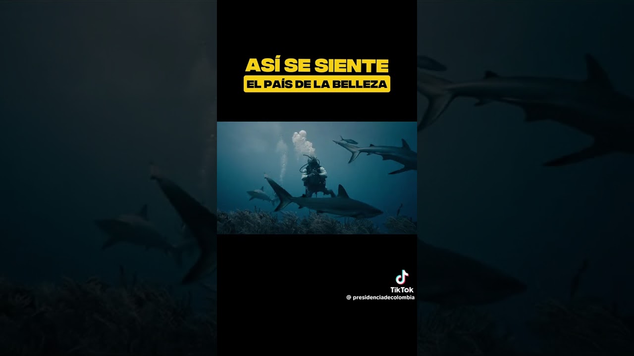 Así se siente Colombia tierra de todos TDT 