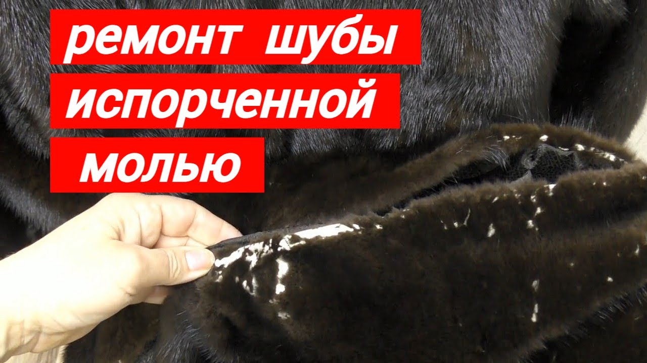 Реставрация и ремонт шубы испорченного молью  . Шуба 5 .