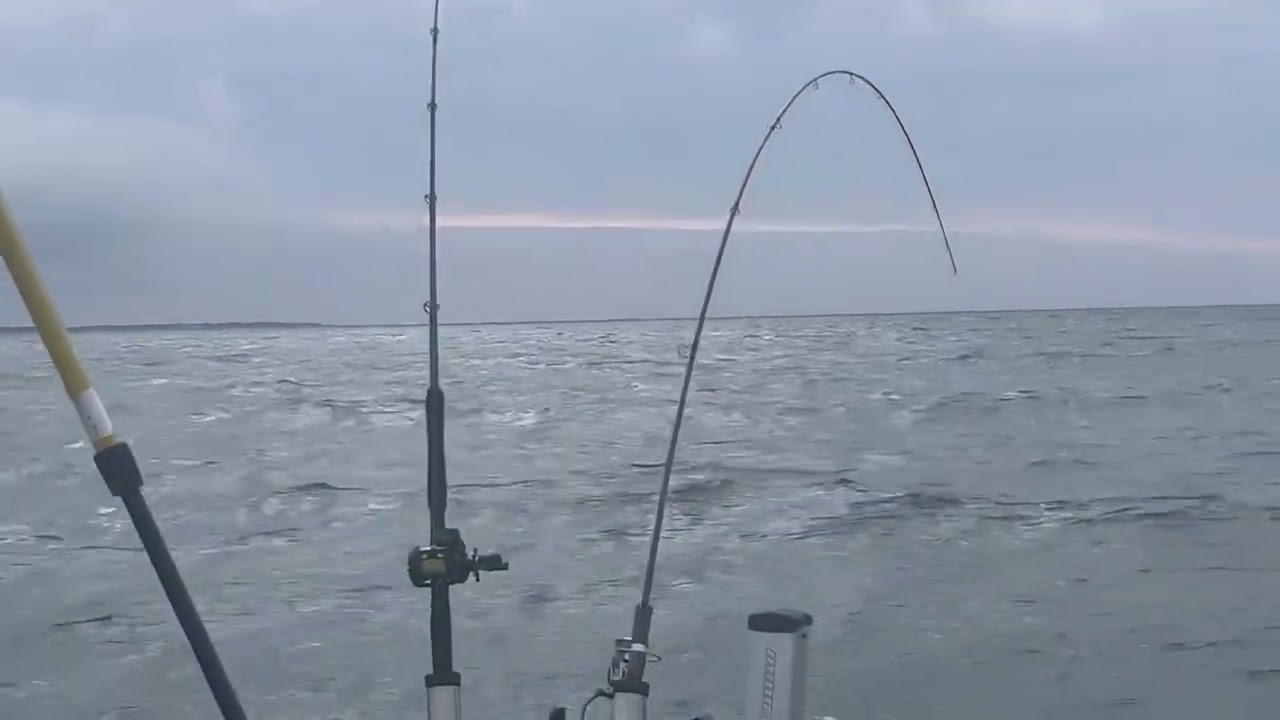 伊犁湖拖钓碧古开锣！Trolling Walleye on Lake Erie