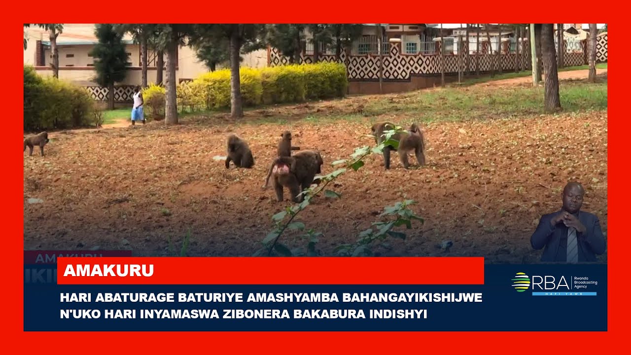 Hari abaturage baturiye amashyamba bahangayikishijwe n'uko hari inyamaswa zibonera bakabura indishyi