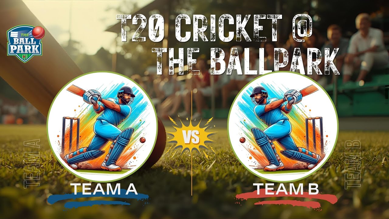Baker Hughes Internal Cricket Tennis Ball Game