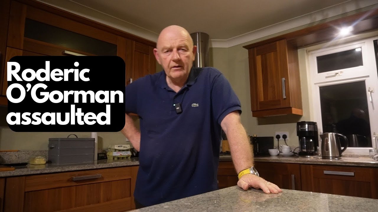 Roderic O'Gorman allegedly assaulted whilst canvassing door to door