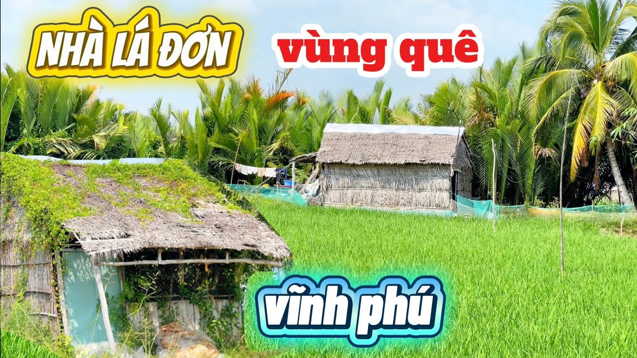 Nhà Lá Đơn Giữa Vùng Quê Vĩnh Phú | Khung Cảnh Làng Quê Yên Bình Đến Lạ khiến ai củng nhớ quê