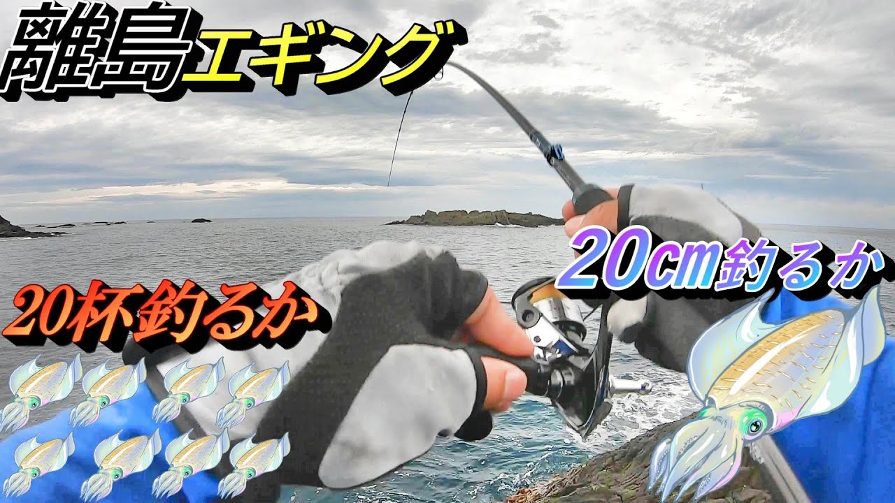 離島エギングのポテンシャルがやばすぎた！緊急ミッションを達成させろ！