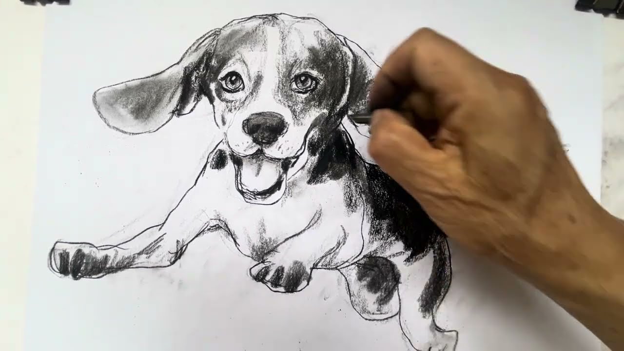 Charcoal drawing of a running dog