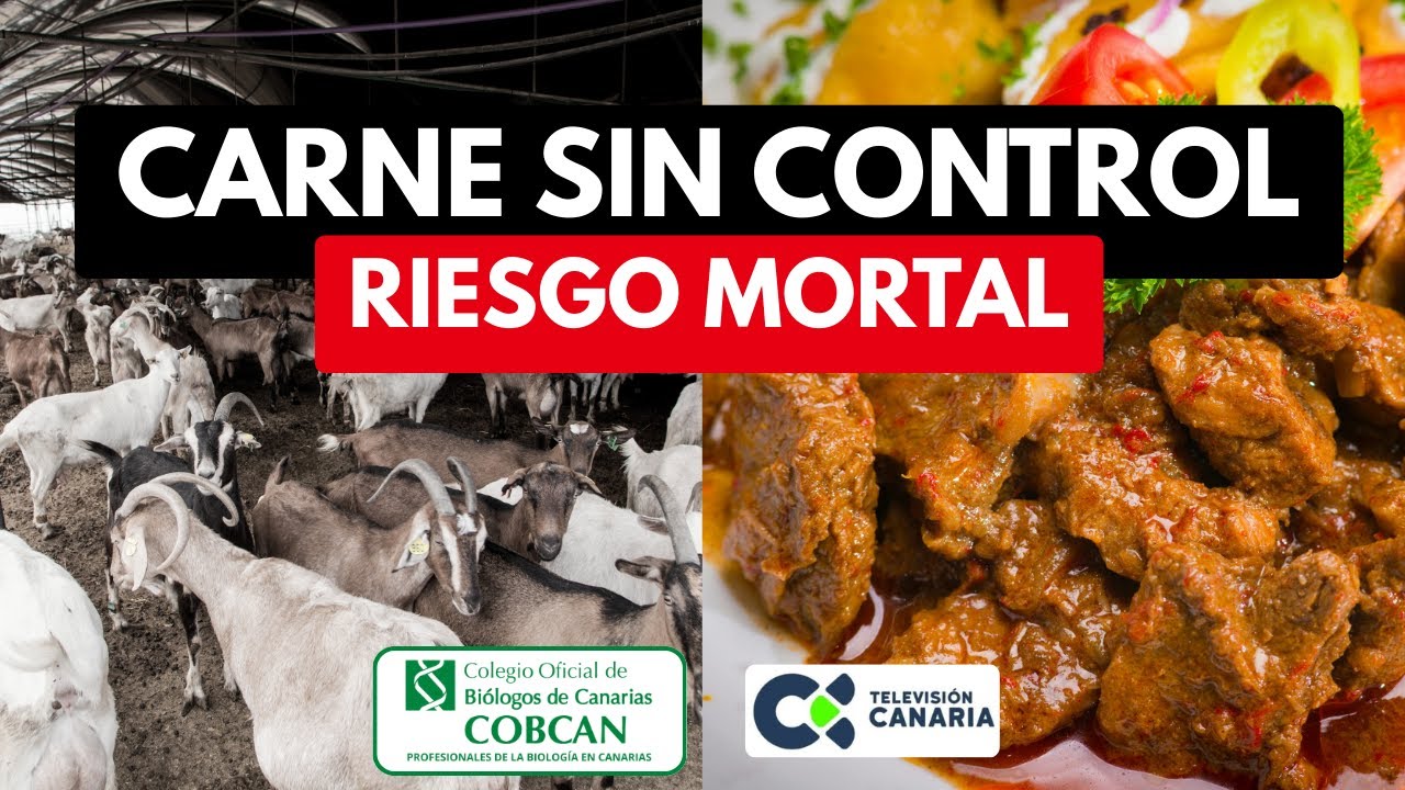 Carne robada o ilegal: ¿Qué te puede pasar si la comes?