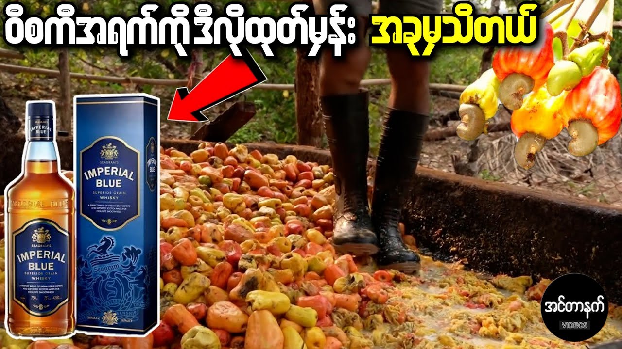 သင်မသိသေးတဲ့ စိတ်ဝင်စားဖို့ကောင်းတဲ့ ဝီစကီအရက်ထုတ်လုပ်တဲ့ လုပ်ငန်းစဉ်