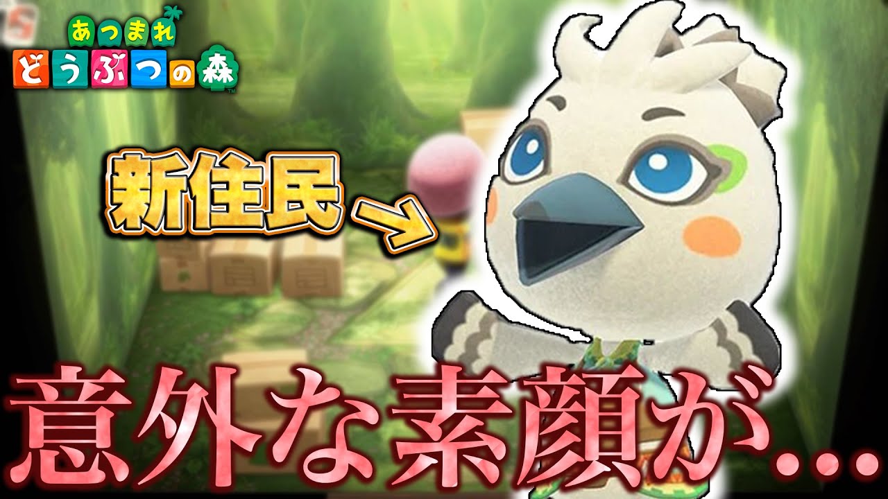 【あつ森】アプデで追加された課金専用の住民がやばすぎた【あつまれどうぶつの森】【ゼルダコラボ】