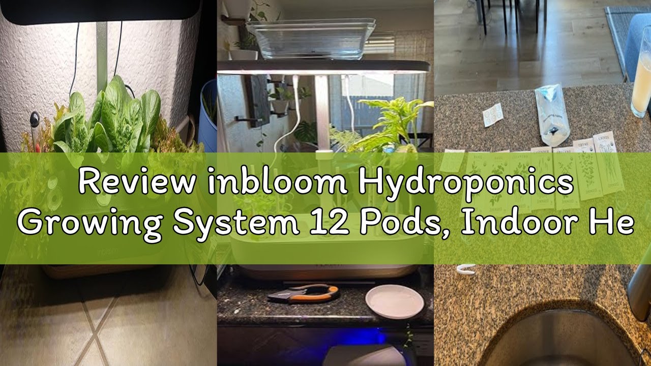 Review inbloom Hydroponics Growing System 12 Pods, Indoor Herb Garden with LEDs Full-Spectrum Plant