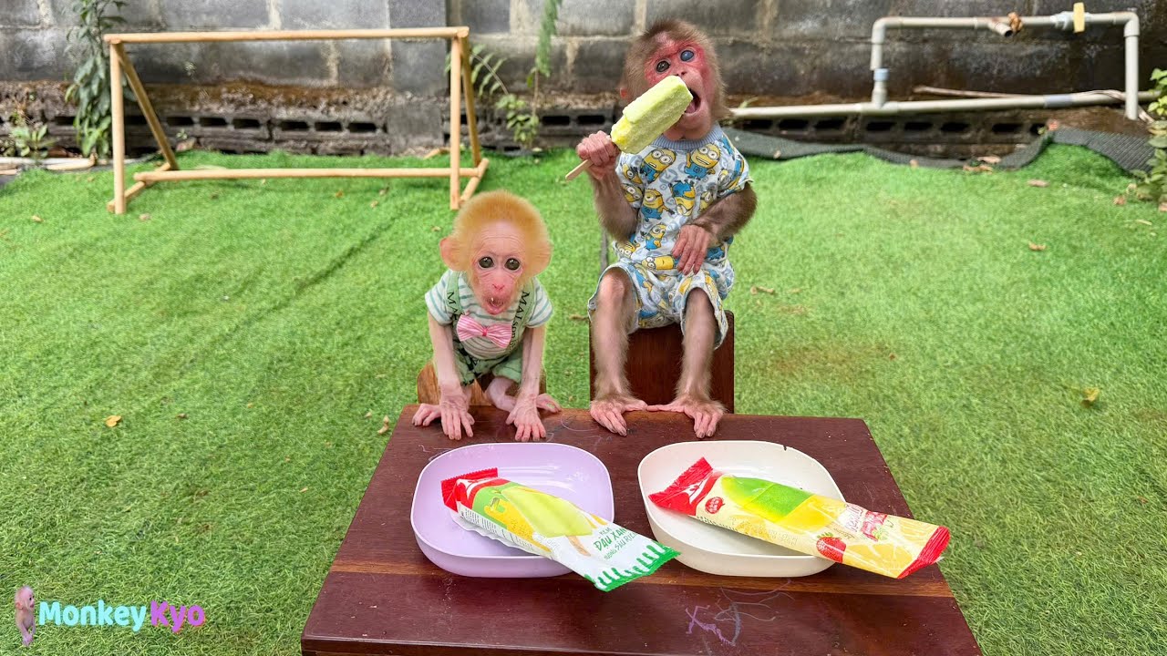 Too cute to handle! Kyo & BuNa cool off with fruit ice cream 💕