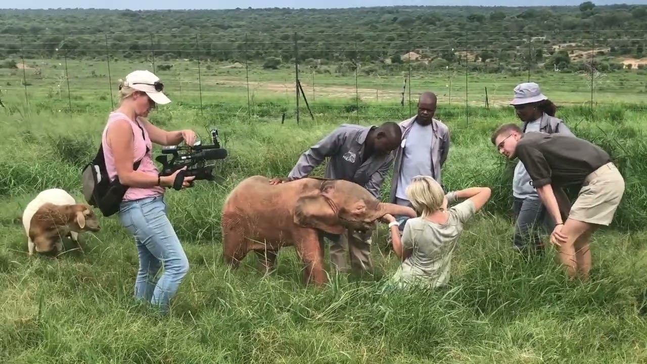 The Elephant Filmmaker &mdash; Meet Hermien #WomensDay