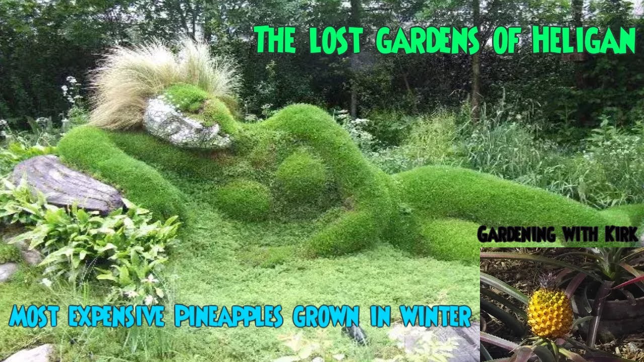 Lost Gardens of Heligan| Pineapples| Victorian Paradise