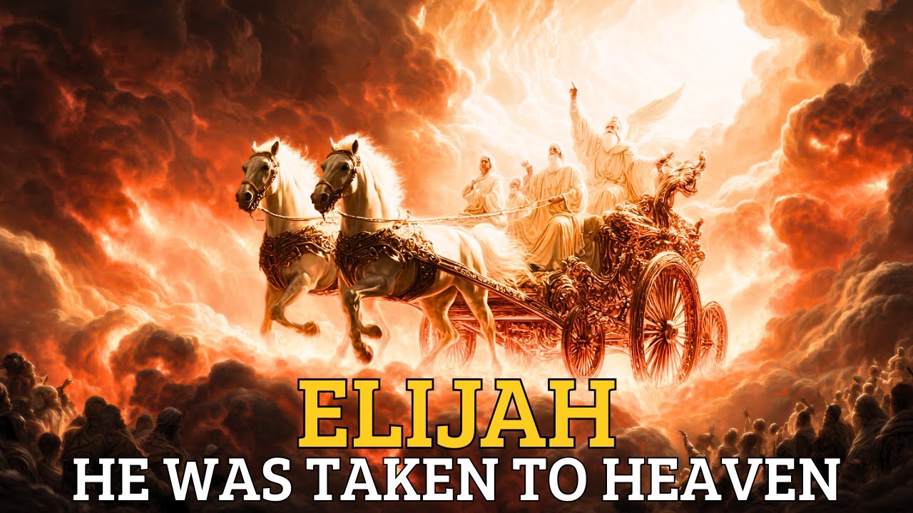 The Story of Elijah - He Was Taken to Heaven by a Chariot of Fire | Bible Stories
