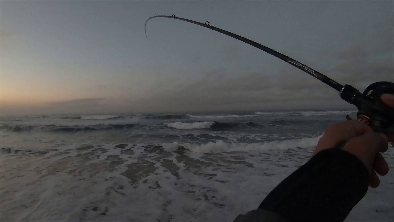 #68 Pesca de corvina Cachagua. Estrenamos la Shimano Dialuna B96ML