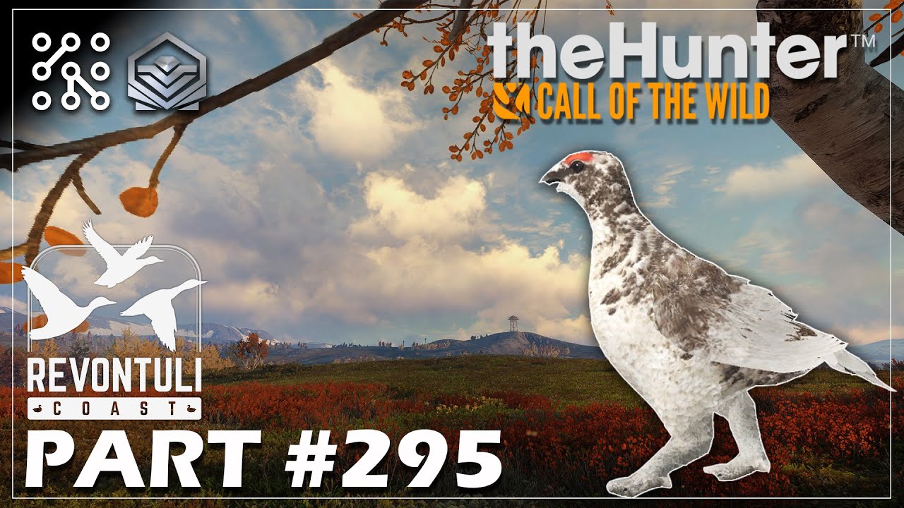 Jak se loví ptáci na Revontuli? Na zemi? Ve vzduchu? #295 | The Hunter: Call of the wild  |  Česky