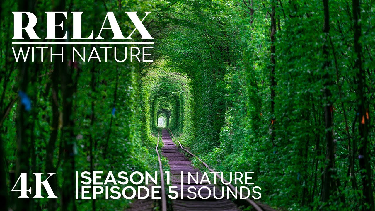 4K UHD Relax with Nature - Episode 5 - Most Stunning Landscapes of the World with Nature Sounds