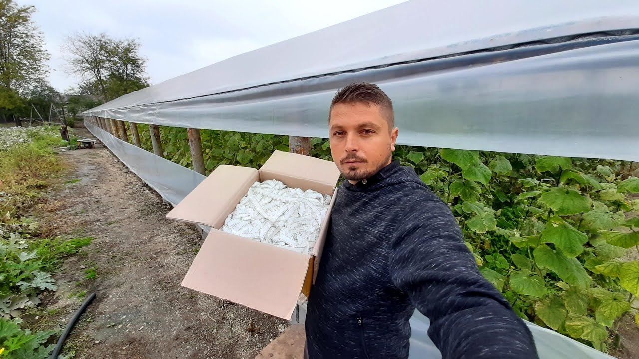 ÎNTINDEREA CHINGI PE SOLAR !