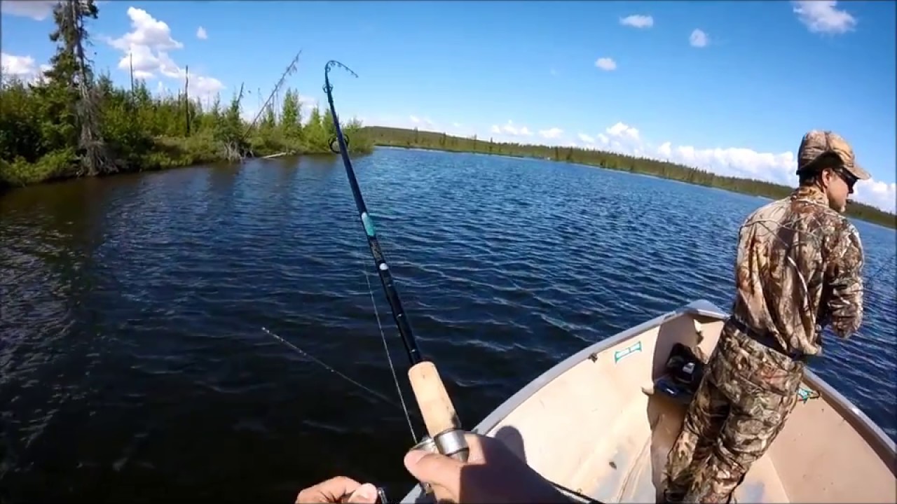 Large Pike On The Doctor Spoon