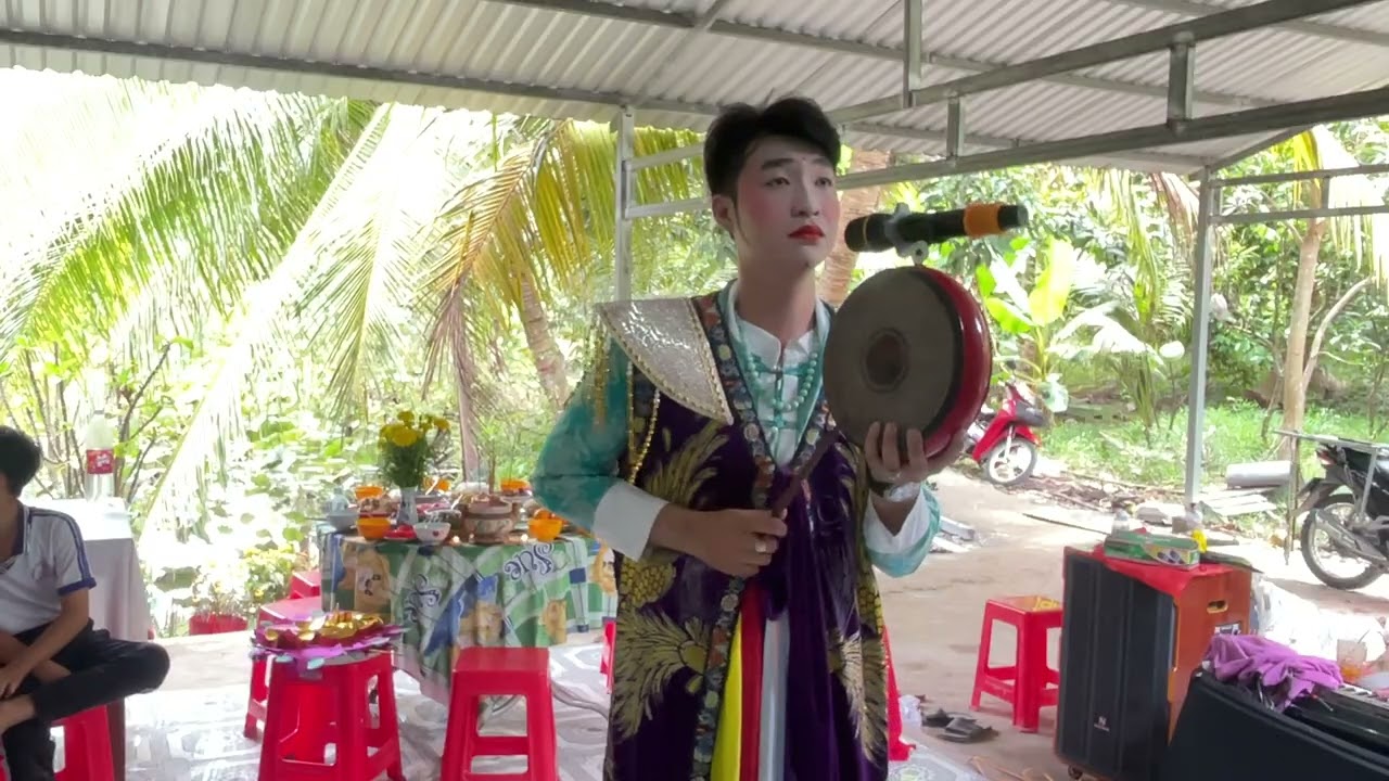 P3 vườn cam