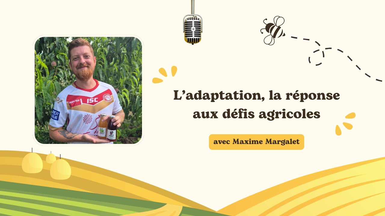 L'adaptation, la réponse aux défis agricoles - Interview de Maxime Margalet, producteur Sibio