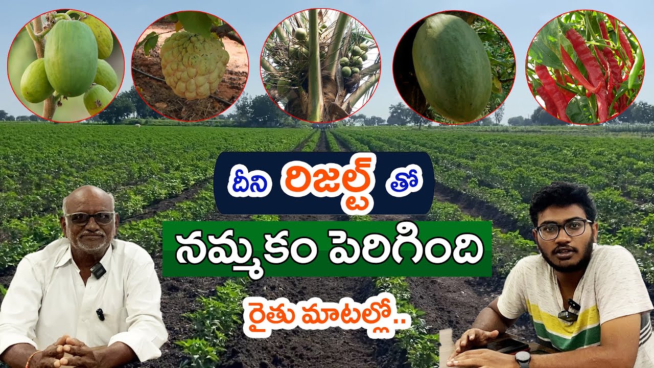 E407 |కషాయం వల్లనే మా మొక్కలు బతికాయి | #gramabazaar | #shorts | 94912 78836, 833 1800 100
