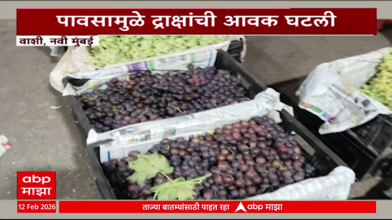 navi Mumbai Rain Effect on Grapes