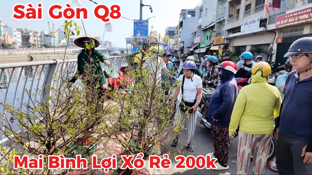 Vỡ trận “Bến Bình Đông”Q8 mai Bình Lợi xổ rẻ 200k khách mua không kịp bán 