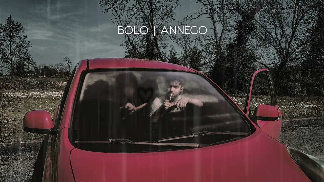 Bolo - Annego