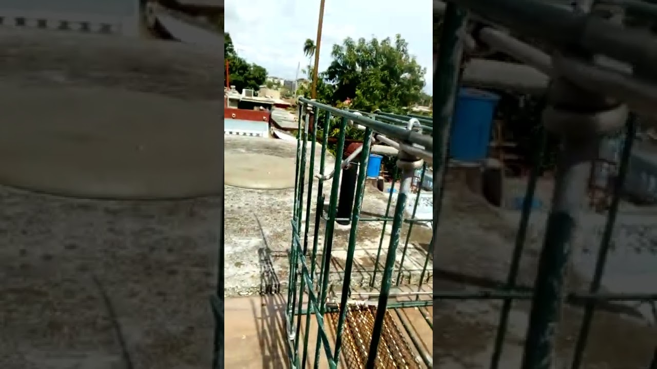 Palomos Ladrones 👉 Vistero Automático 👉 Dedicado a todos los que pedían ver mi vistero