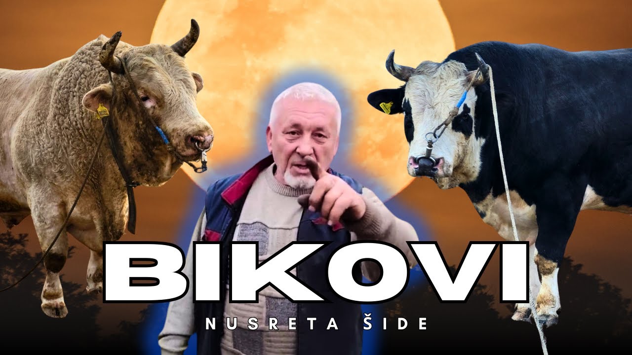 Kod Nusreta Šide sve teška kategorija