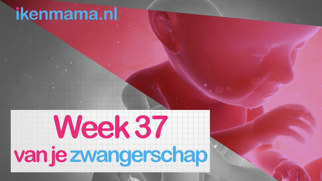 37 weken zwanger | ikenmama.nl