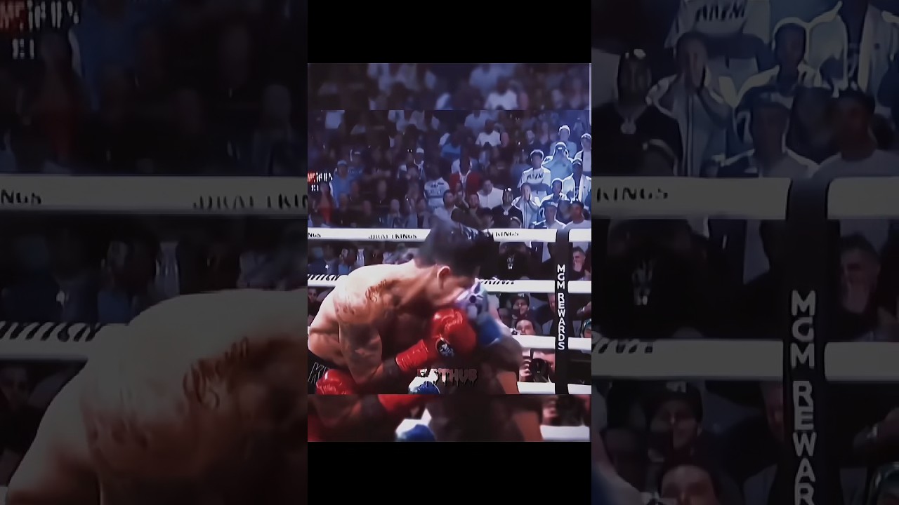 Davis vs Ryan 🥶, the end 🔥 #boxing #fisthub