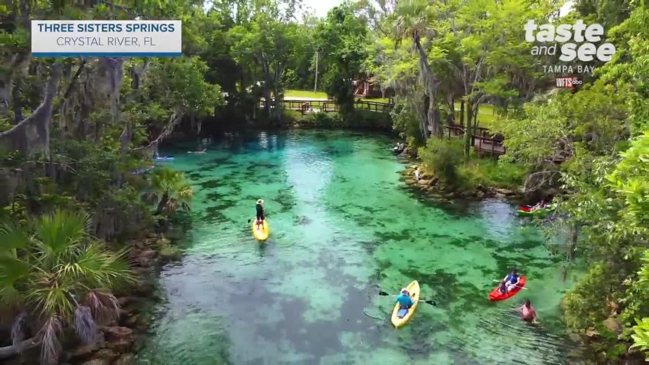 Three Sisters Springs in Crystal River | Taste and See Tampa Bay