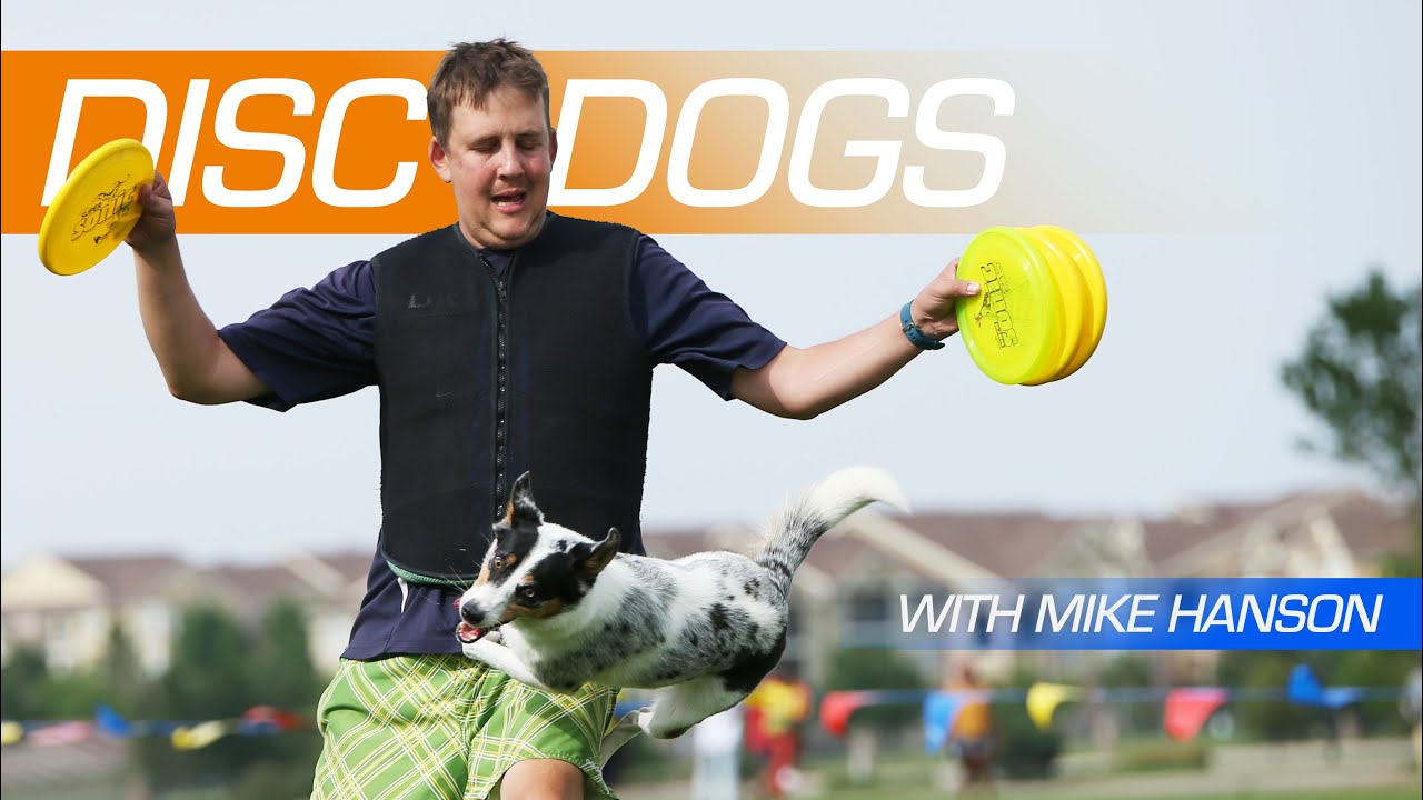 Disc Dog with Mike Hanson of Team Hero Disc USA