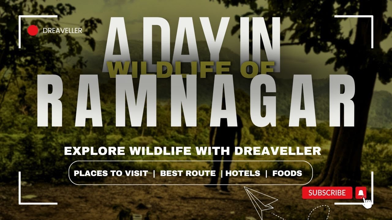 A day in Wildlife of Ramnagar | Explore wildlife with @dreaveller | Ramnagar Vlog