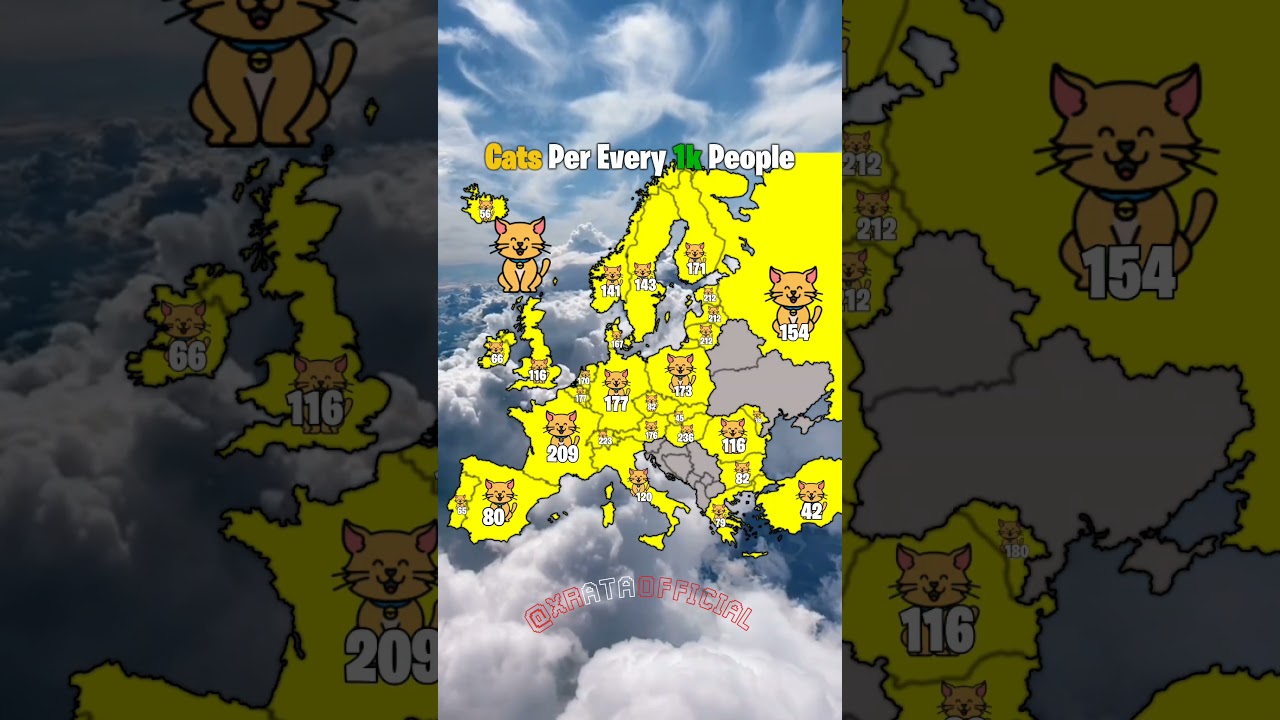 Cats Per Every 1k People|#europe #mapping #cat