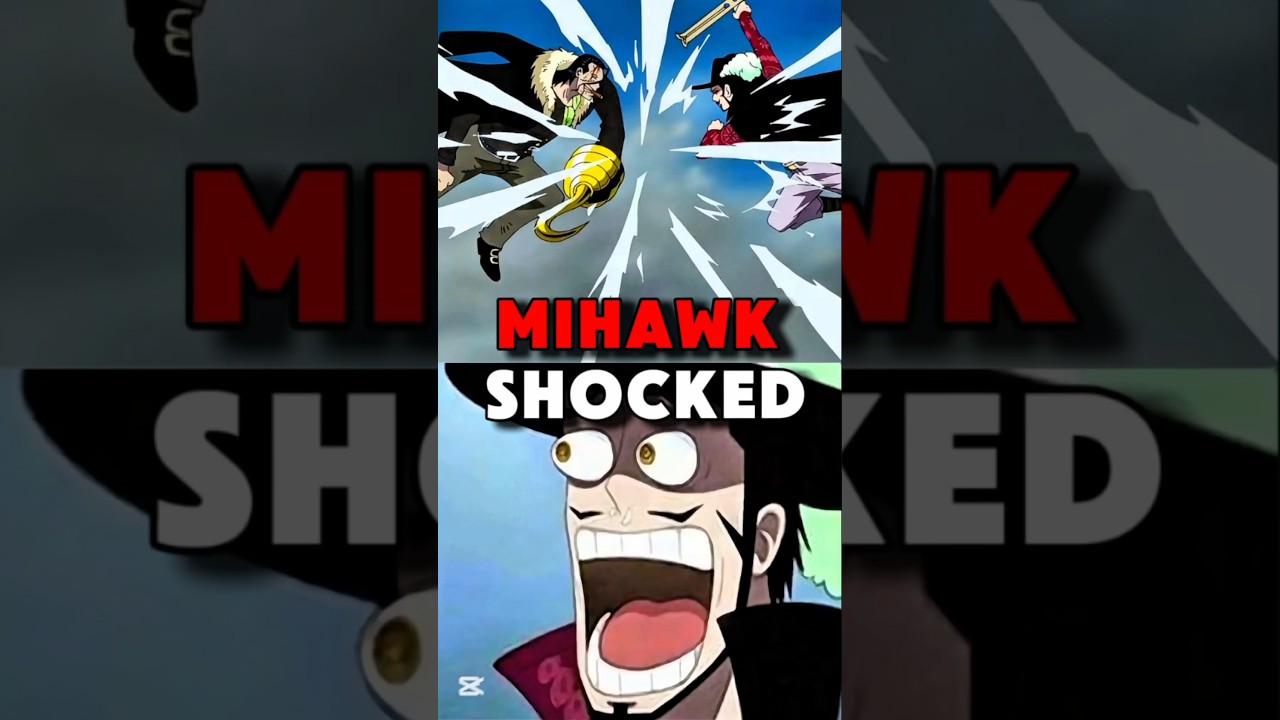 Why Mihawk stop chasing luffy after crocodile saved him #onepiece #hawkeye #crocodile #marineford