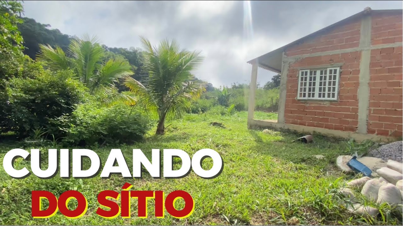 CUIDANDO DO SÍTIO/MOSCA DA FRUTA/COBRA NO CAMINHO/Bora pra Roça?
