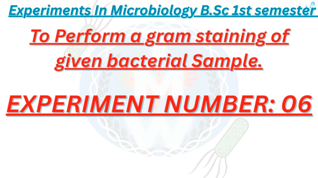 Grams staining Technique theory 