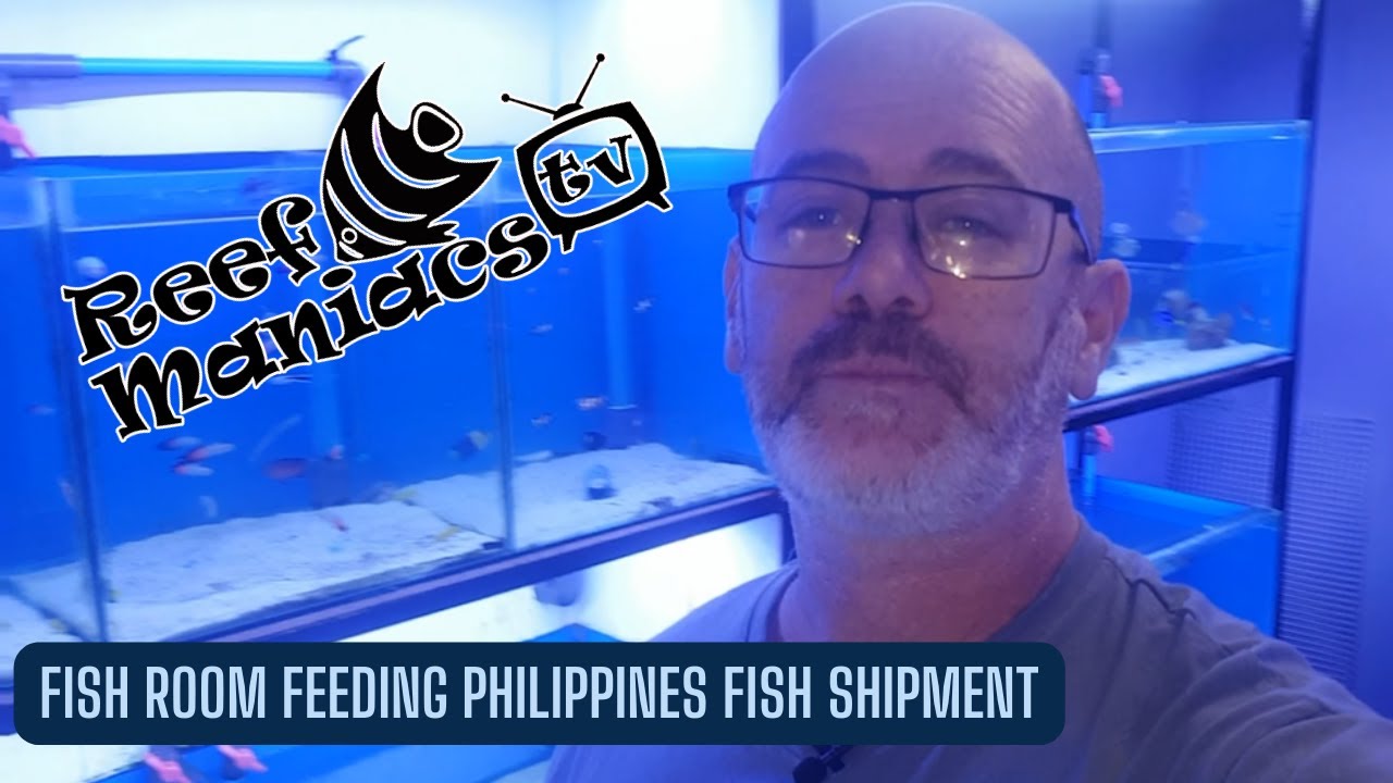 Fish Room Feeding