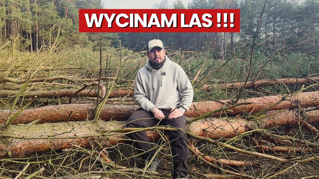 Wyciąłem ponad 100 drzew na swojej ziemi… opowieści o świetlistej dąbrowie.