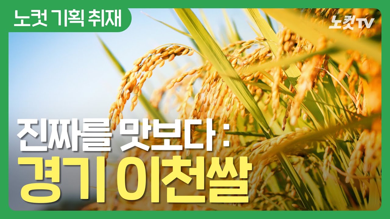 진짜를 맛보다 : 경기 이천쌀 [임금님 진상미 600년, 품격을 잇는 밥맛]
